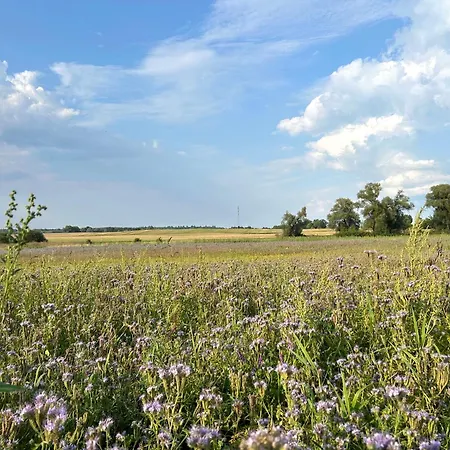 Easy Living Bierzwnik