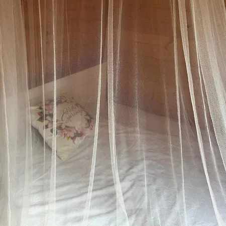 Easy Living Bierzwnik