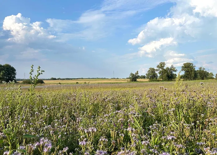 Easy Living Bierzwnik