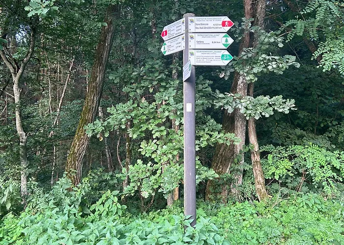 Easy Living Bierzwnik