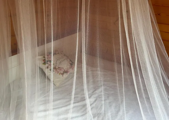 Easy Living Bierzwnik